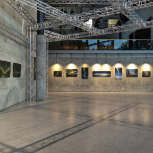 Ausstellung "LIchterNächte" in der Galerie "Kunst im Funkhaus", MDR Sachsen-Anhalt, 2021