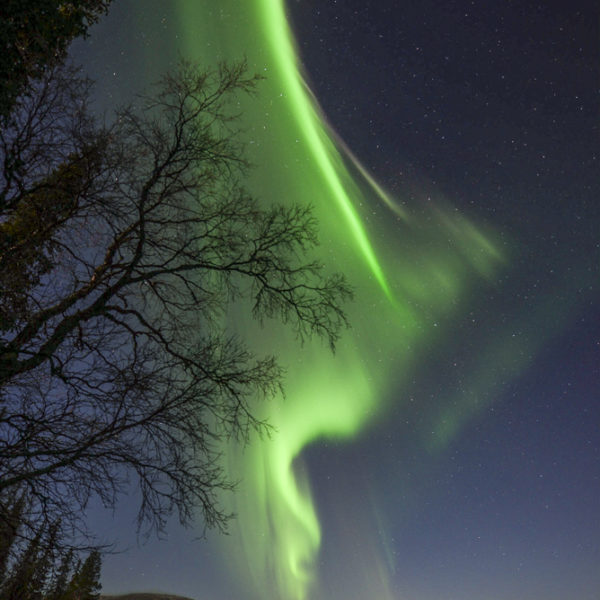 Nordlicht, die Aurora borealis