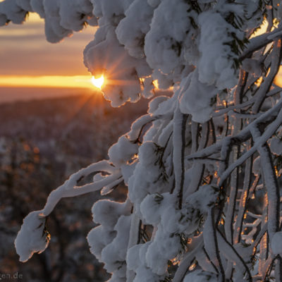 Die Sonne steht tief am Särkitunturi Mitte November, wenige Wochen vor Beginn der Polarnacht.