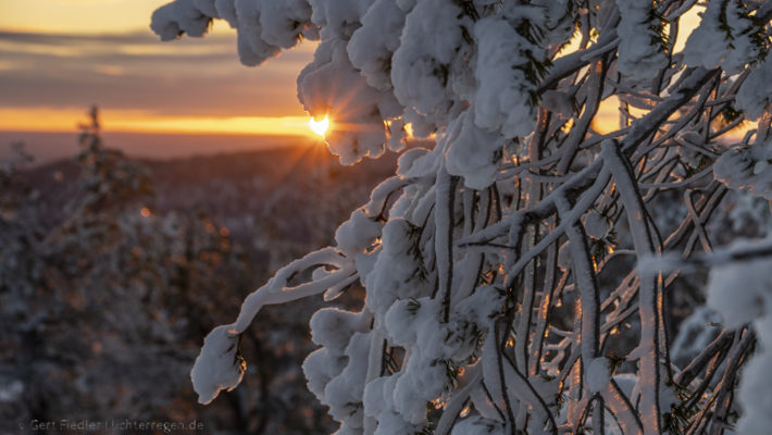 Die Sonne steht tief am Särkitunturi Mitte November, wenige Wochen vor Beginn der Polarnacht.
