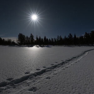 Der Weg im Schnee scheint zum Vollmond zu führen.