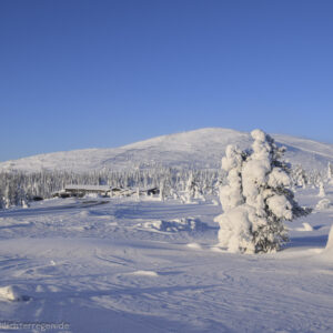 Das Pallastunturi Besucherzentrum am Fuße der Berge