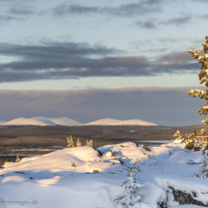 Markant in der Landschaft, die Fjells des Pallastunturi
